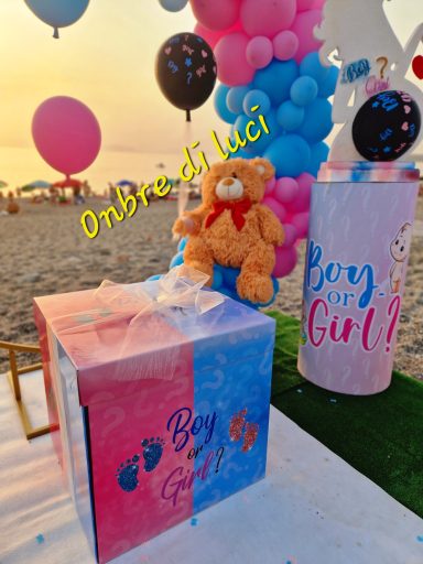 Gender reveal